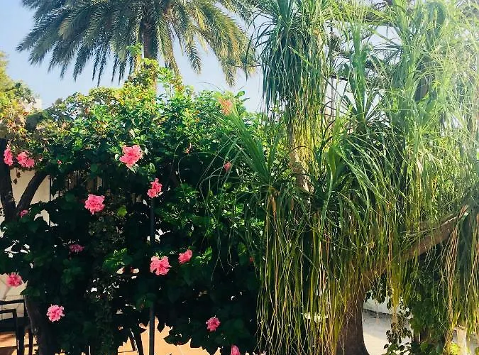 El Cortijo De Miguel * נרחה