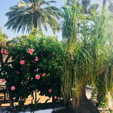 El Cortijo De Miguel * Nerja